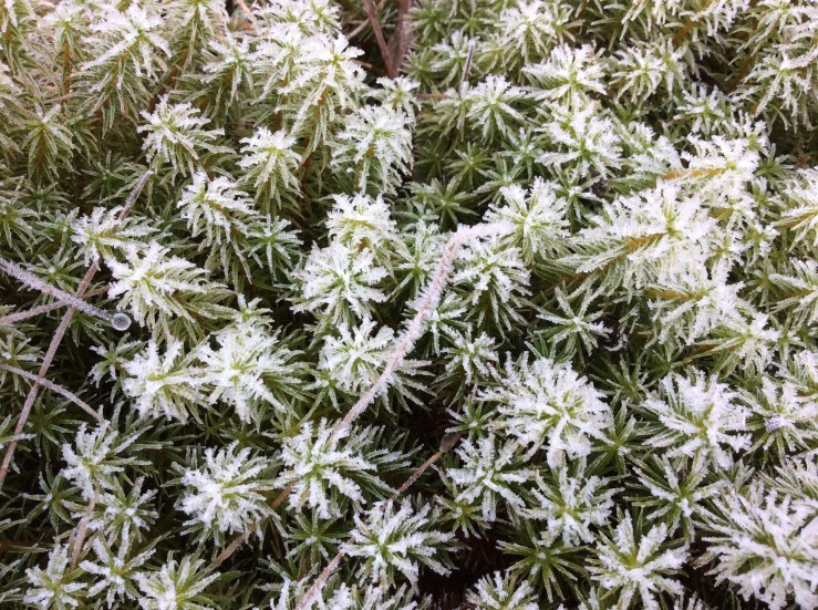 19B001F3-B002-4C9E-8041-4C48ACC35689