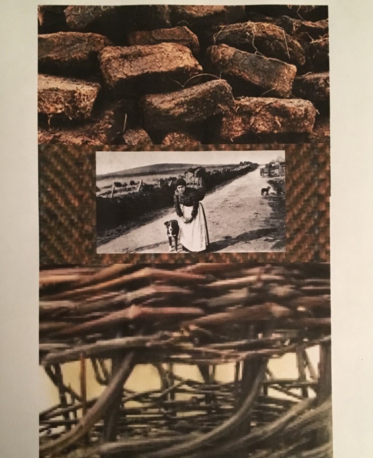 1A38E66E-05FB-4A99-9338-631D758B0C4E