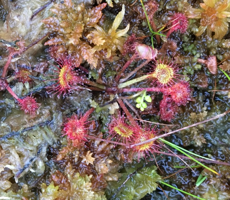 2C213F07-03F6-4D1D-A120-F9FFAC5A61FA