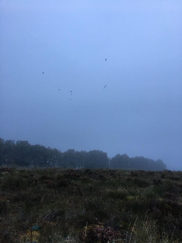 5ED504ED-7232-4F47-A8A4-EF4E14095B9A