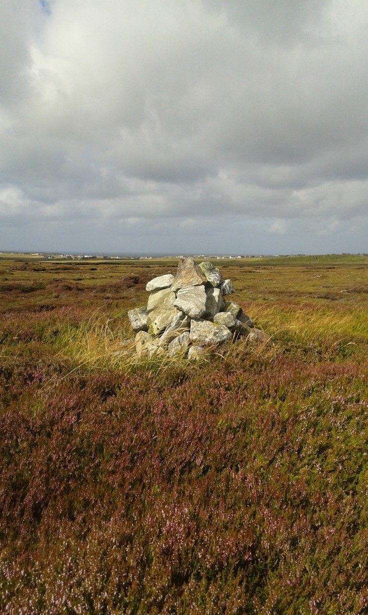 B6EA4488-1042-4BA5-8865-514B00C787A5