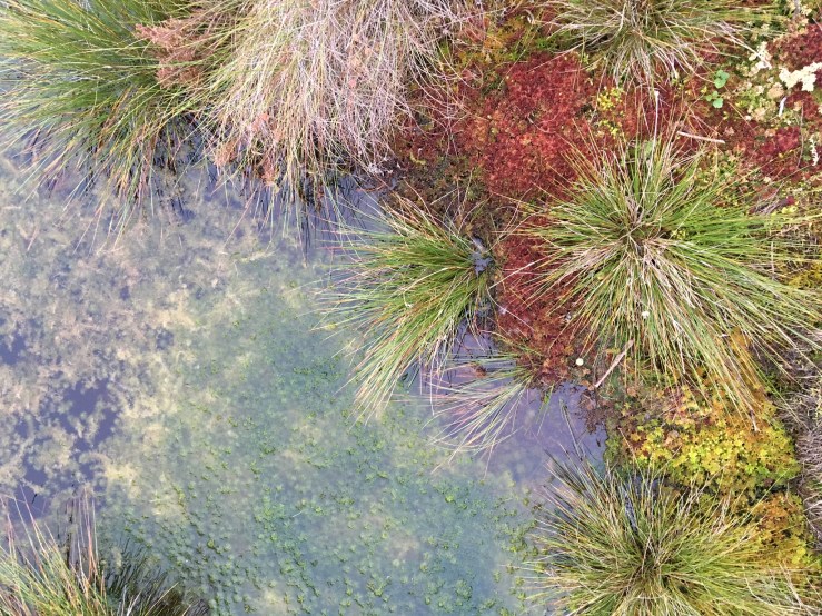 DAEAF837-D179-479A-BC6C-20A5061F947E