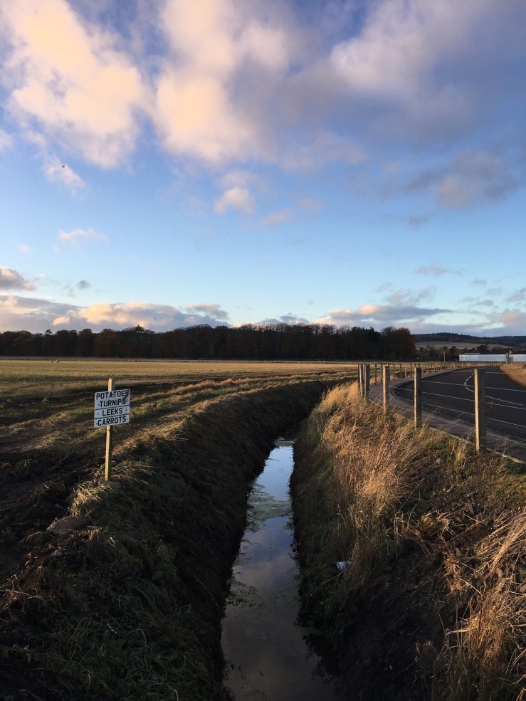 2C93F1C7-6428-4E76-84A0-7F908398952D