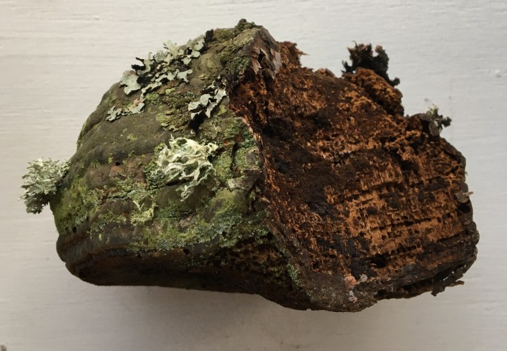 48B57C67-3A6A-45A8-8C1C-337C12CBAA6C