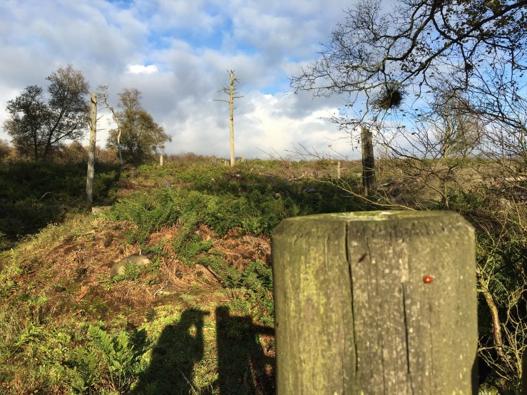 9F878F88-2303-4D83-B231-4F1B08AFBA8D