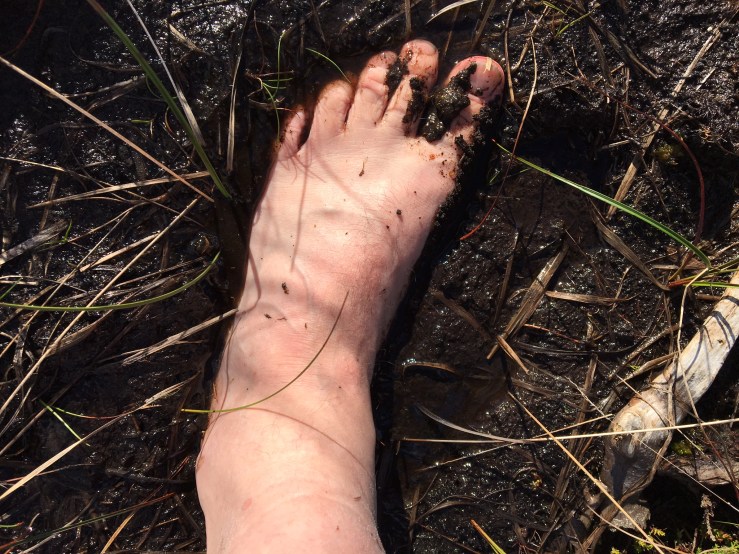 E7F59BB5-4DCD-4B62-8092-718018306C7B