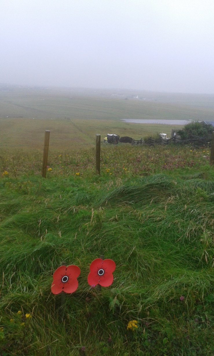 F48E8609-A49D-4E17-BD59-379C1D5E491A