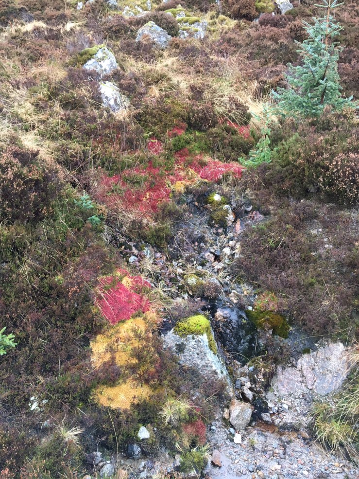 08F7ABFF-22D6-43D8-B1D6-BD361E009EB7