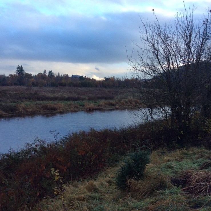 4392B6AE-ABDE-4F10-B3C7-4B15ED9211A1