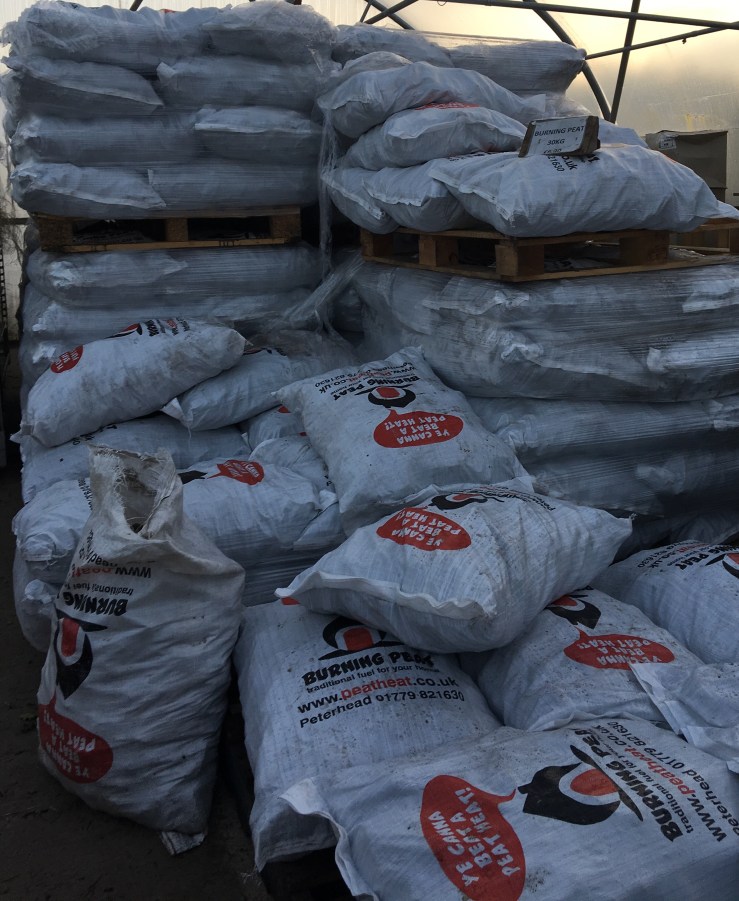 5F4D9390-89BA-4FCD-B820-EDF8C162E35D