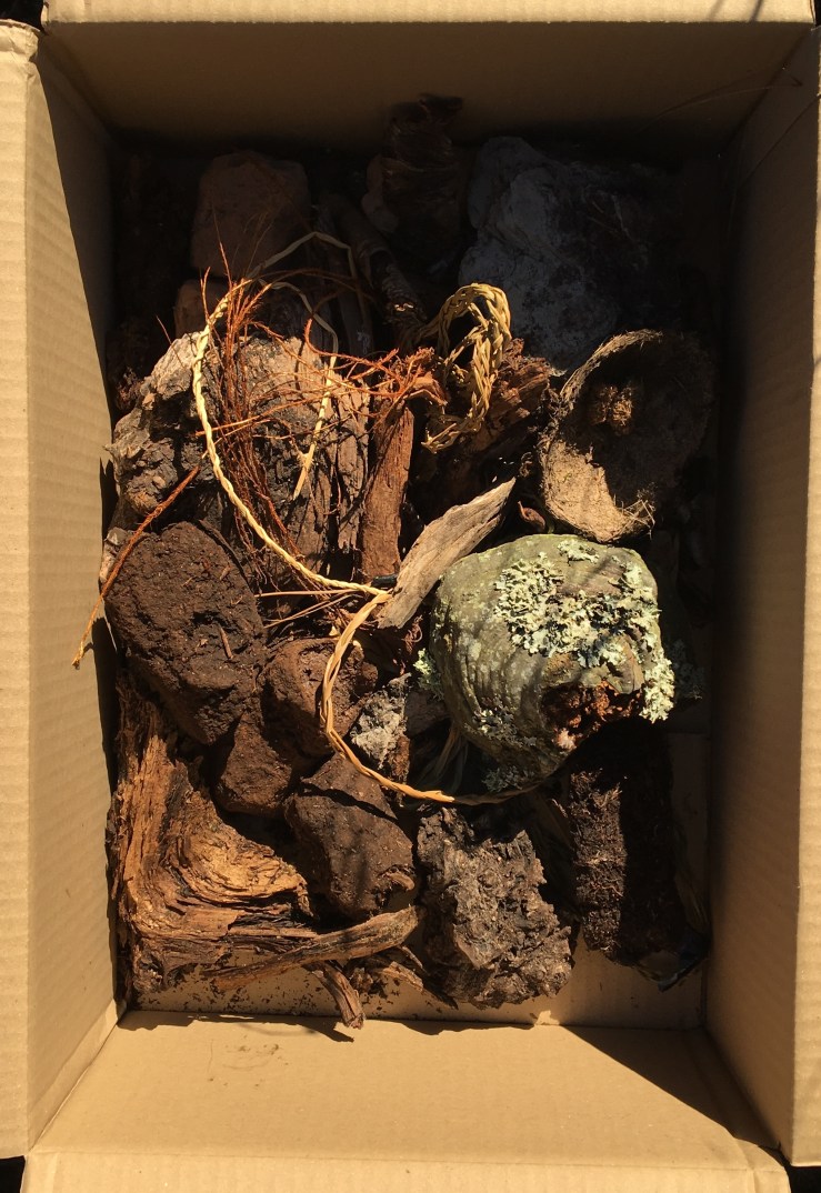 BC71DAD8-4B58-4B07-9A2C-2537B8F6AC48