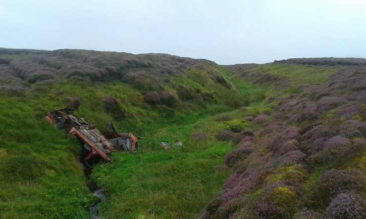 EE14F166-D199-4658-9EC5-E06D79697E32