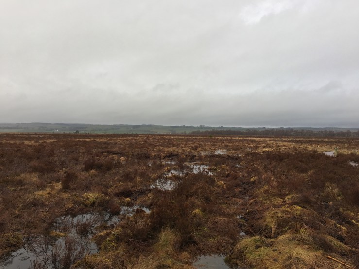 F495FECA-A5DF-4667-9751-322FE593FE2B