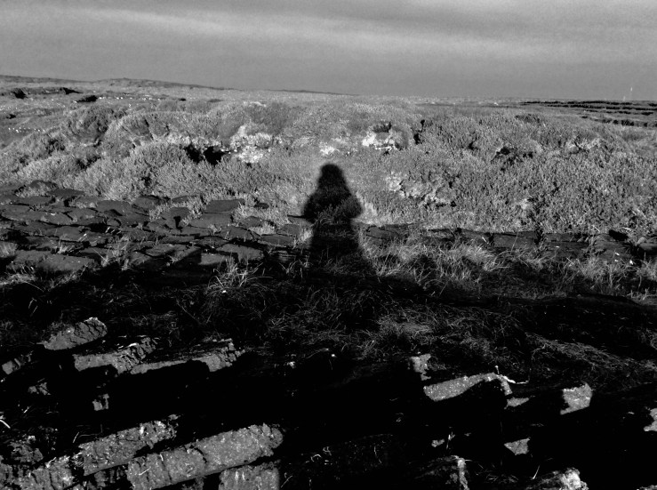 FC7AF9DB-258A-46AA-BCB5-D8F3D71C9BB7