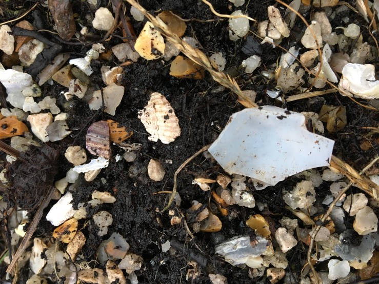 46CB5A17-BA3D-48E0-A260-AA4E847A9EF9