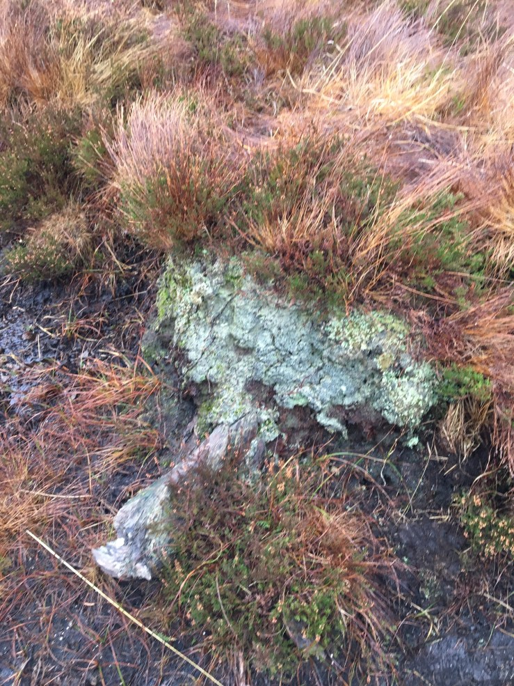 5DE1DF1A-CD9D-4C3E-9D79-AF26D1FBC2D9