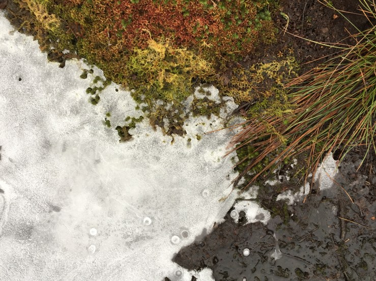 601D2F3B-CB51-49E2-B1FE-7871D32DAD96