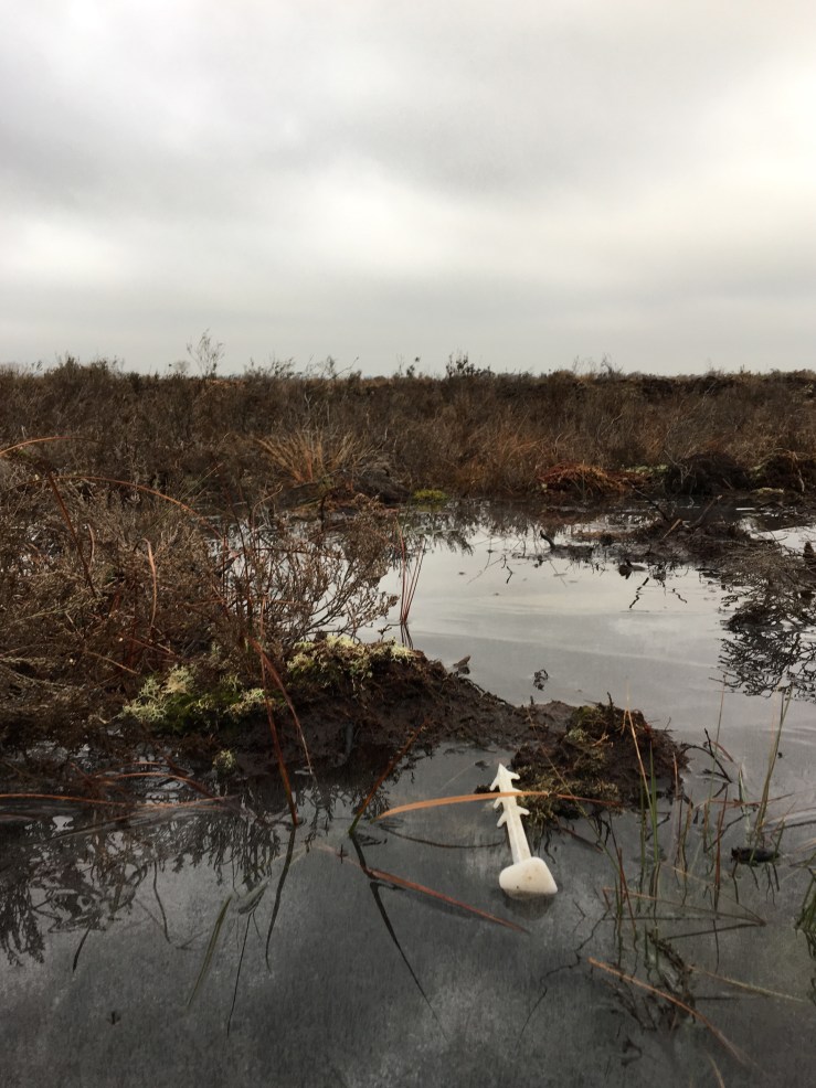 93395C73-AA7B-44FB-89B9-CEA3A030FE35