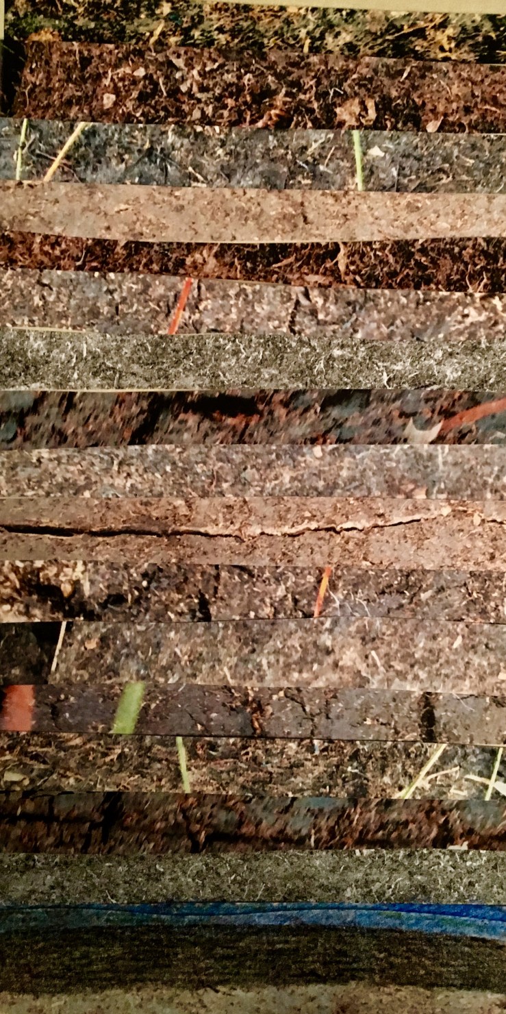 A2B63B02-EF8D-4FF6-94B1-9B5012D0CA58