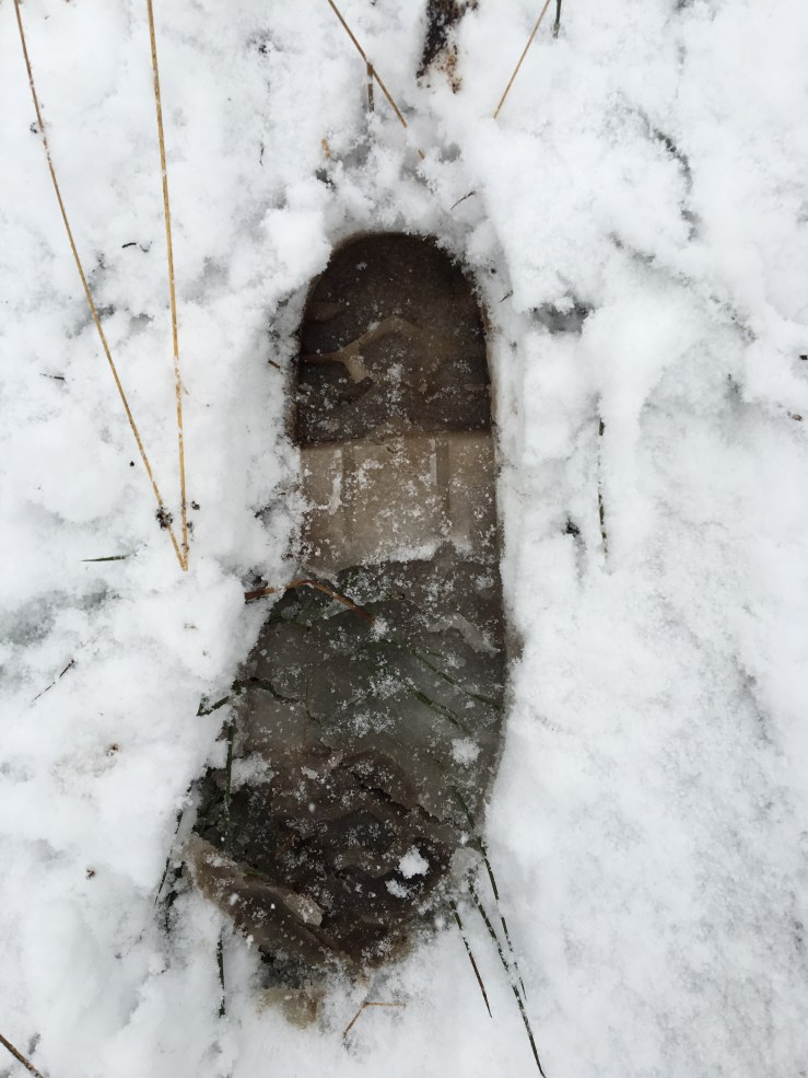 FFE7AF53-C924-4199-B865-95A4F696166C