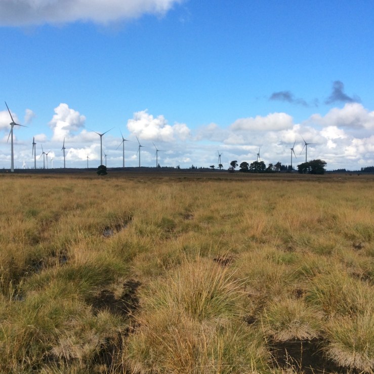 56BF7D3E-8B7D-439A-8045-57A001EB4FFC