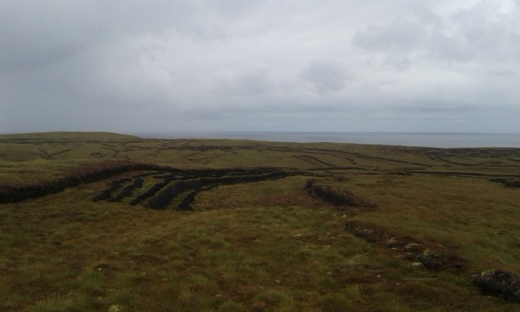 68E3A4A0-7492-4E85-A8C0-1AAA49F5EA6E