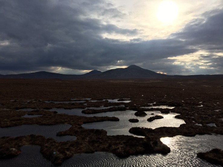 148677E1-3717-4C63-ADCB-212D923AB2C5