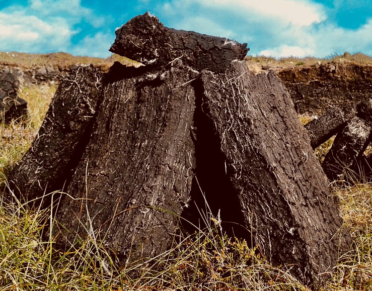 1E7B908F-202A-41DA-ADF4-3E4BADDB49BB