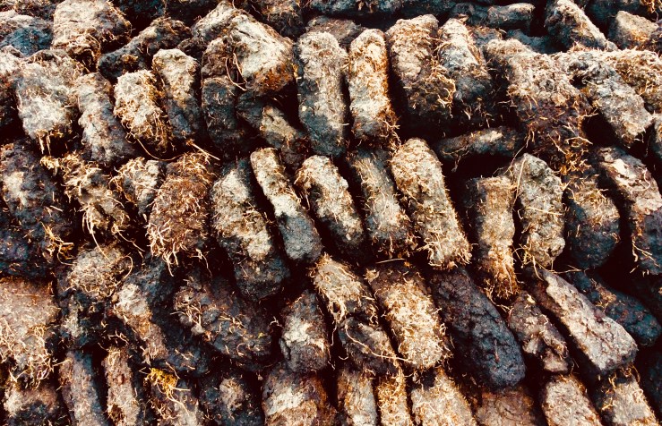 6B087066-C252-4C09-99DC-A70DE531BB19