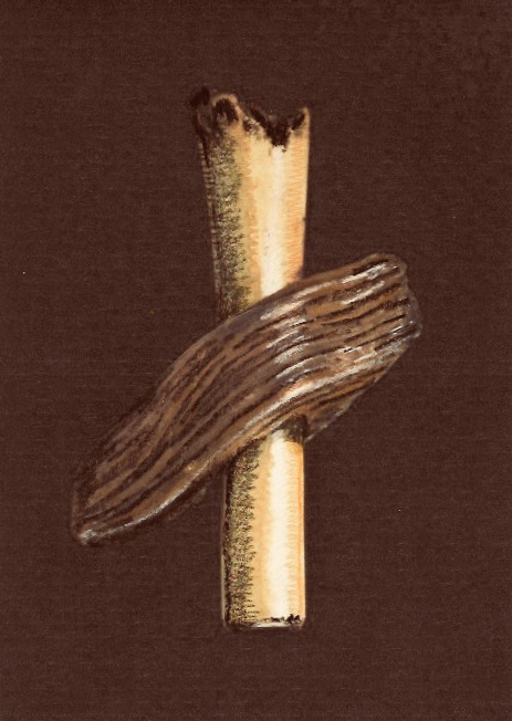 7CC985F8-A379-4311-82CB-EEC37C20BE38