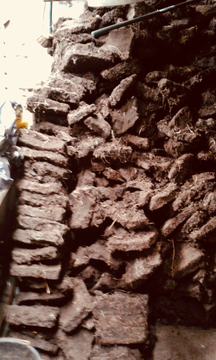 8BC1BA9F-5AE5-470B-AA63-CA2D40986171