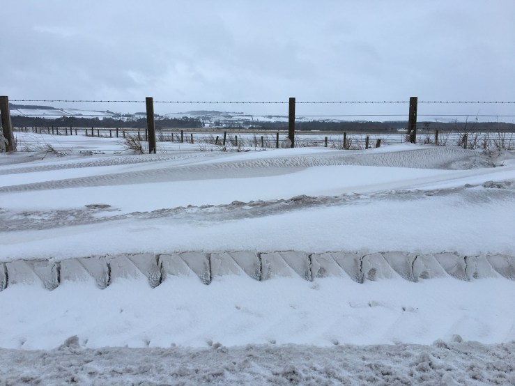 8C79C7CD-918A-4BA4-BE69-C6570EC4DE88