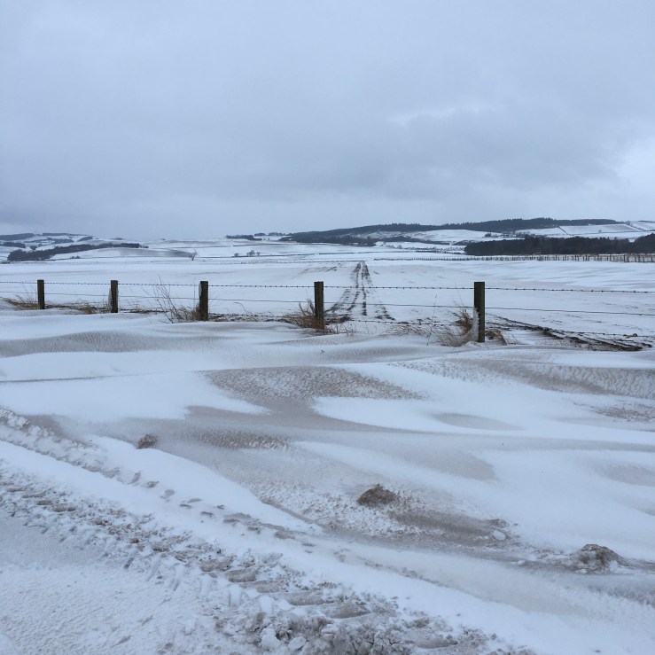 9C25C555-4FD9-4D5A-B347-120718552D3D