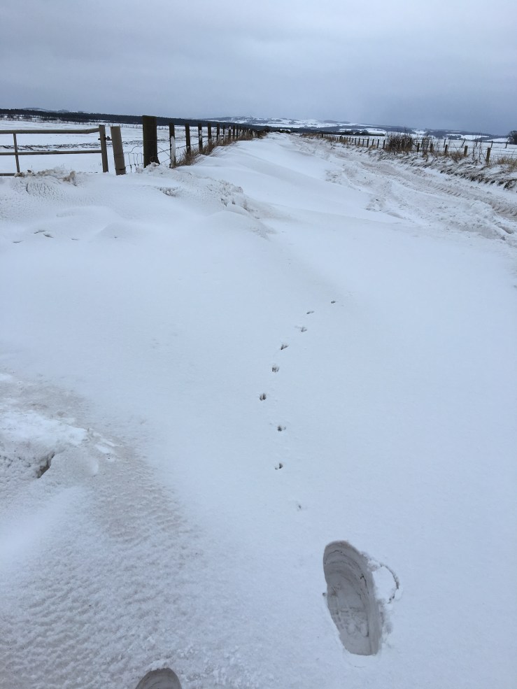 A4E9CAC1-6E2B-4738-8344-4DE1FF4BD774