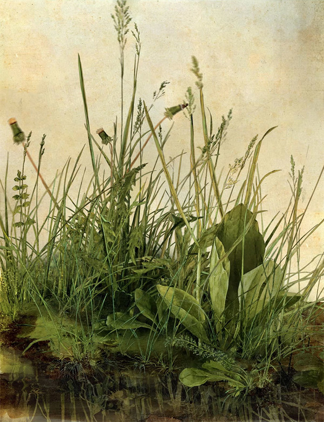 A6BAA356-4B34-4236-9B00-C90CE9C54773