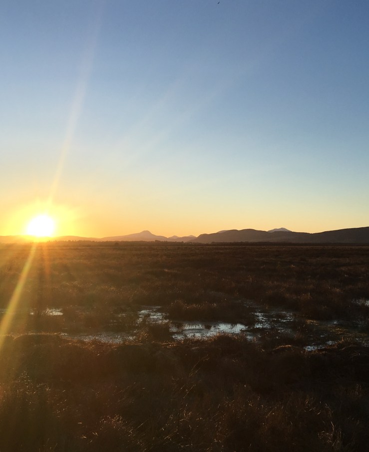 B9A704D2-6B68-4BEA-A0BE-0FEAA7C42550