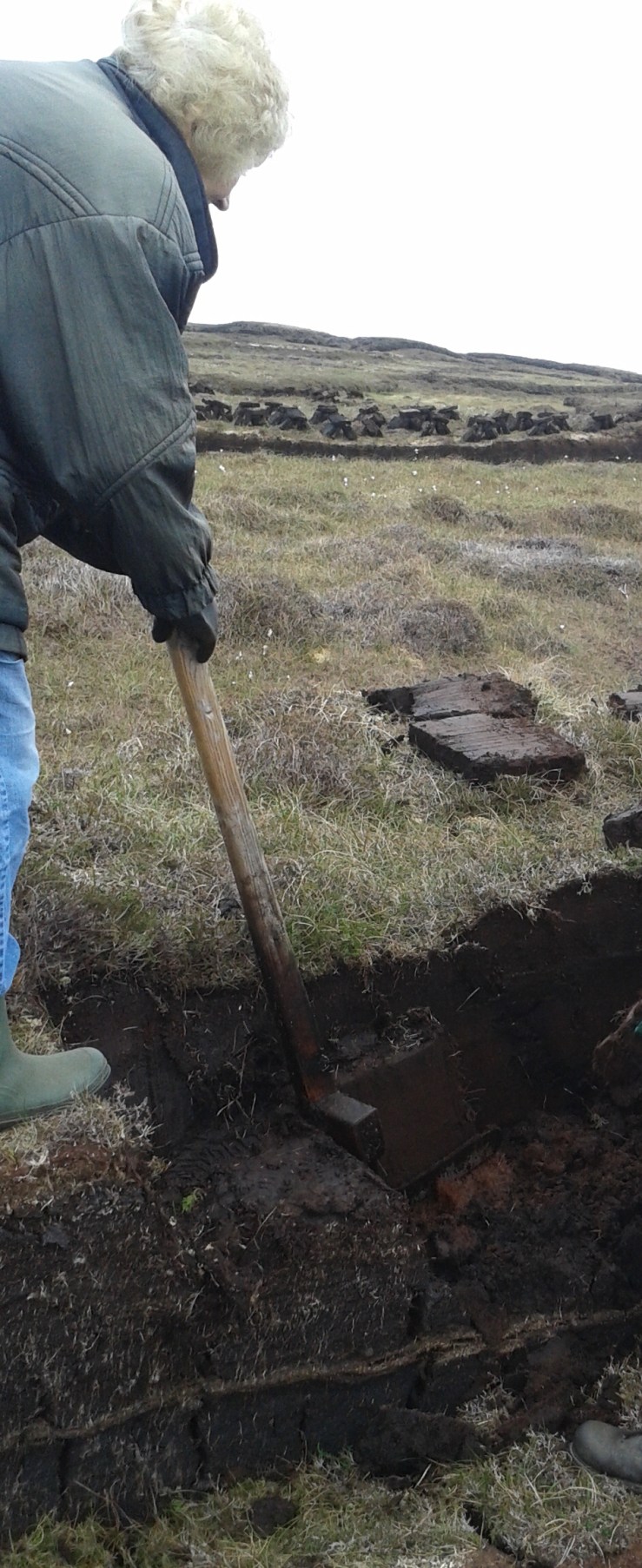 CFC4A9FE-7083-4E73-BB38-546574047C81