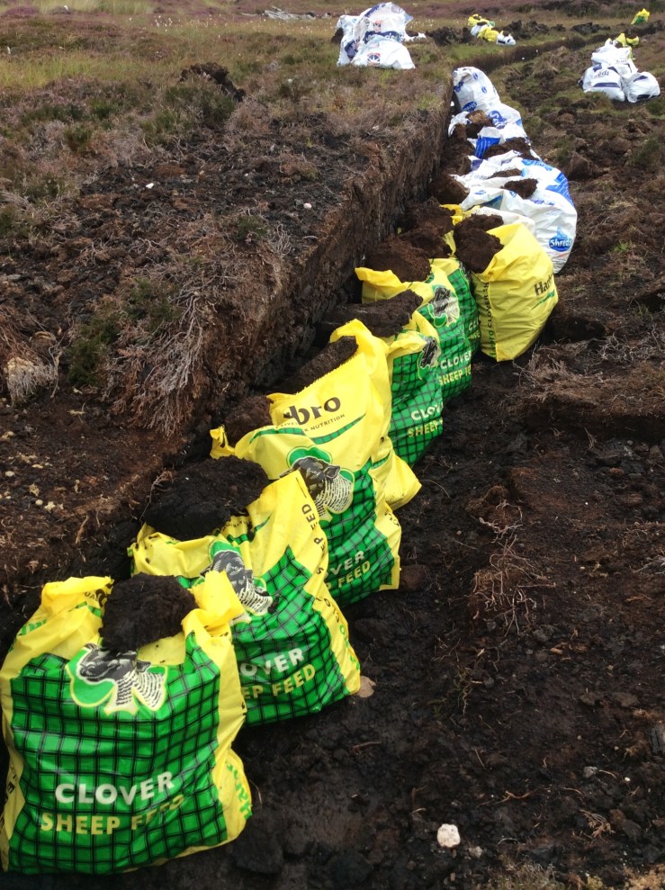 E1822C76-CFFD-4934-AB77-D4B0FE5AFC71