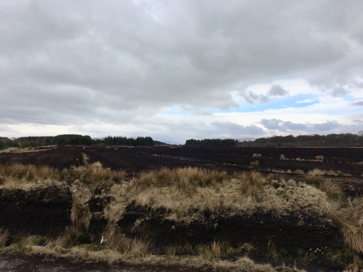 6440AF41-AAE3-4B03-886D-7CA23B1B3CCE