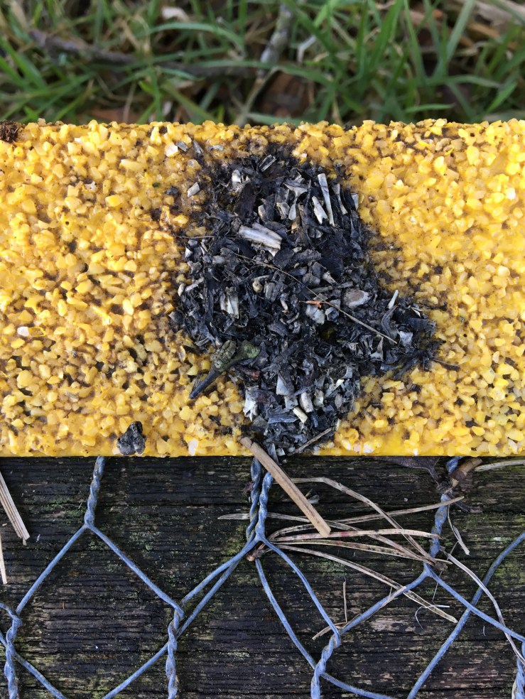 665B755C-5A47-42C7-B06A-0AA700D4B0C3