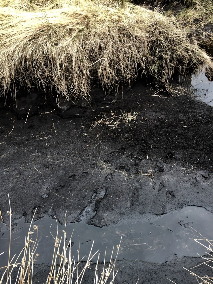 6E641E86-F489-4395-A47B-AA0DA1D96956