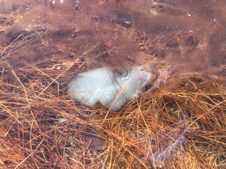 6F205DB0-D5E7-4962-8E86-23BD562F62A6