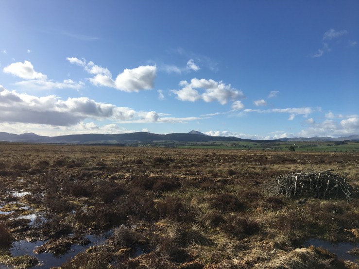 7416416D-46CC-4626-97BF-E9F0BC525590