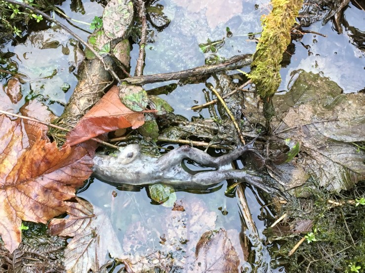 FD09857B-F961-4A51-8E2A-3383C98631A9