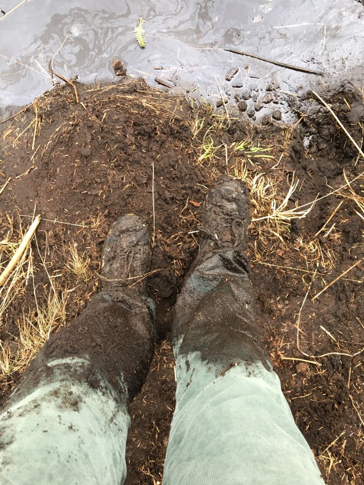 09C4B07C-5E60-4117-86C4-CD9FFB6C832A