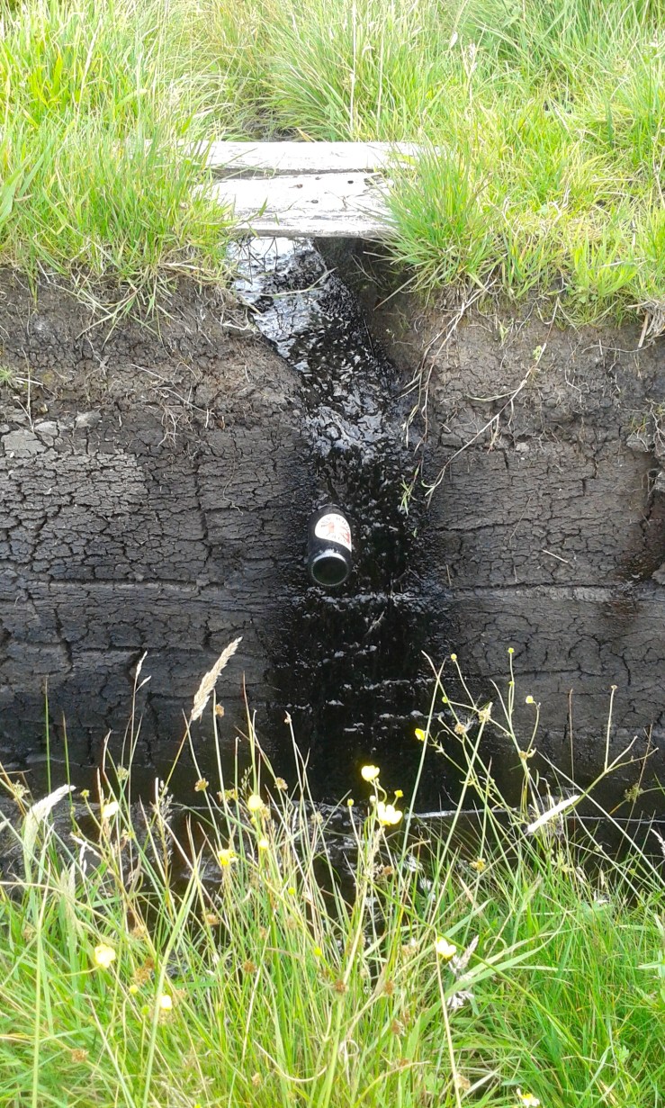 3B11B149-636A-425D-9F99-441461921D99