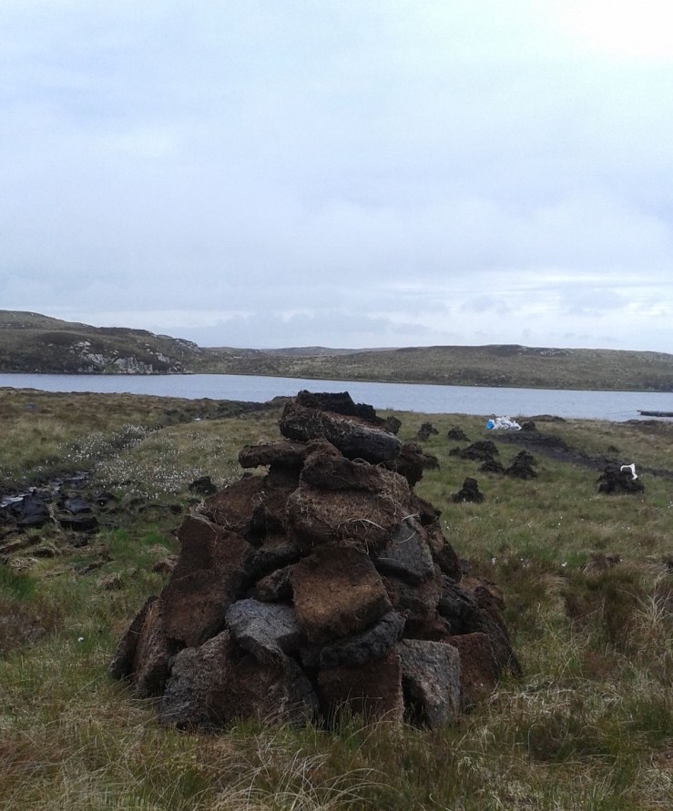 7B95484E-08AD-4B71-BEA7-D768AE88EE77