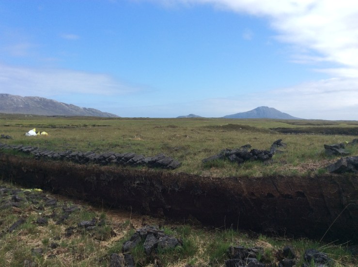 ADE263FD-2E68-4B0C-914F-71403C773F69