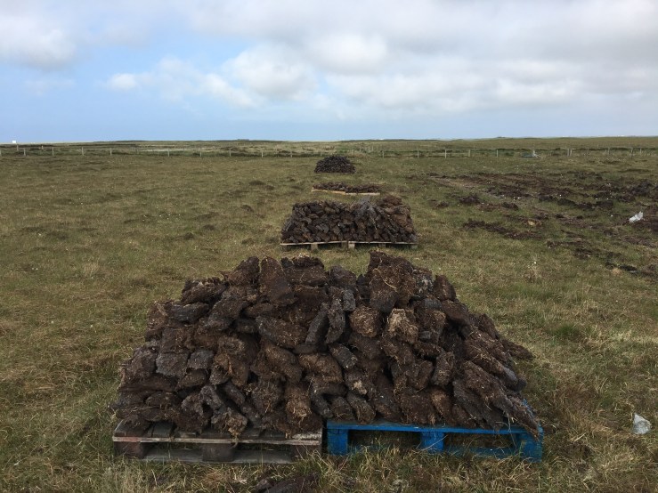 4676733B-FDD5-4BE5-BEBD-F8DB97991FF9