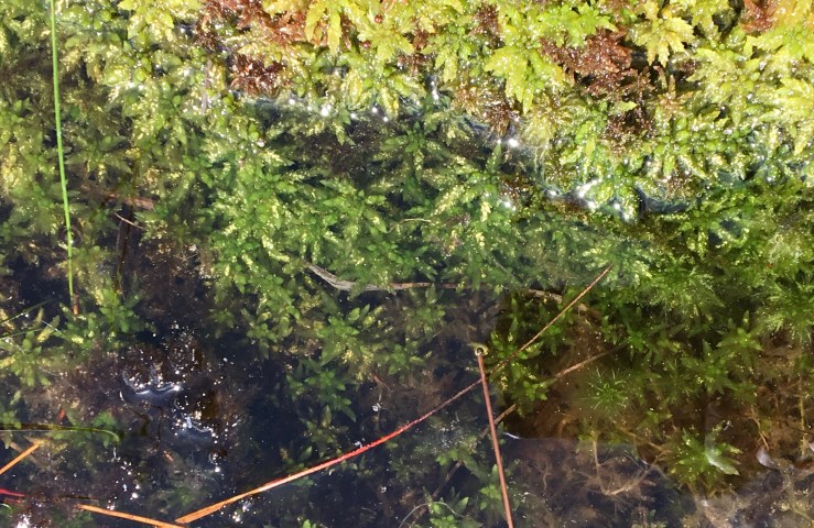 B6C64142-6250-4FE2-B5AF-0A2649C474A6